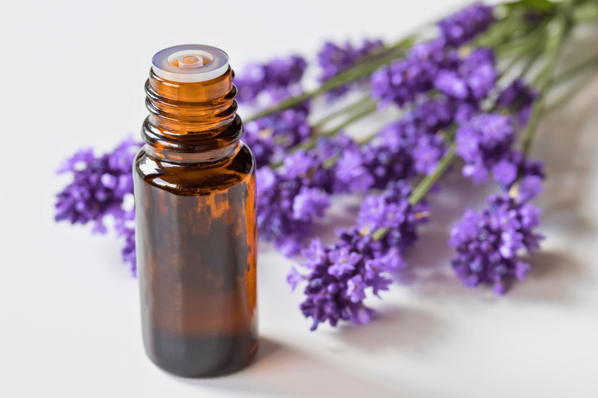 Bienfaits lavande Bienfaits lavande