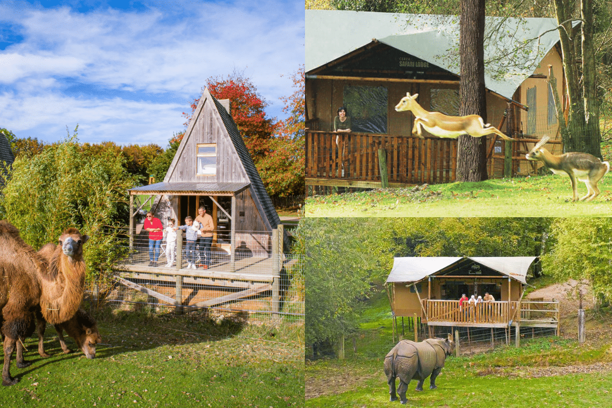 Dormir au zoo de Cerza Dormir au zoo de Cerza
