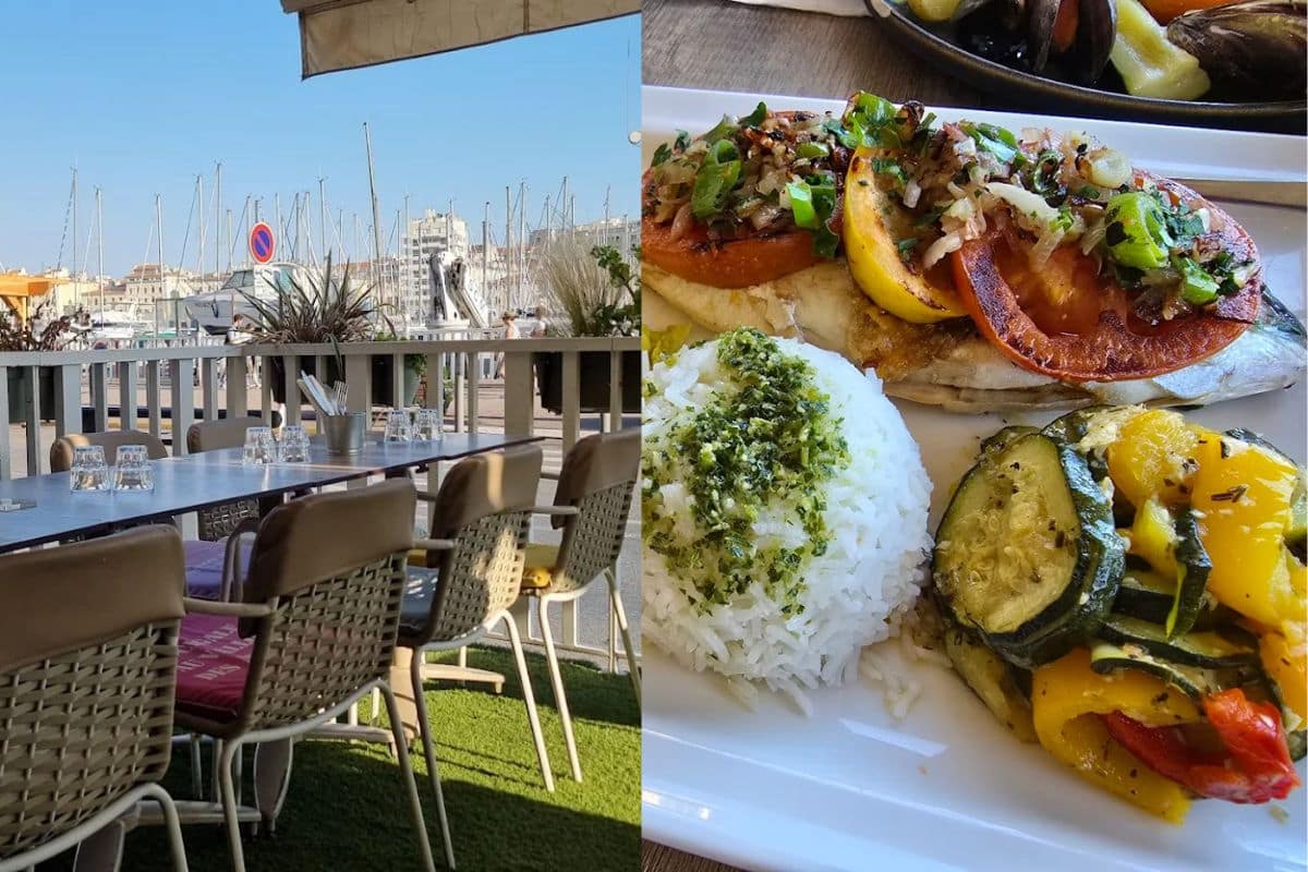 restaurant La Cigale vieux port restaurant La Cigale vieux port