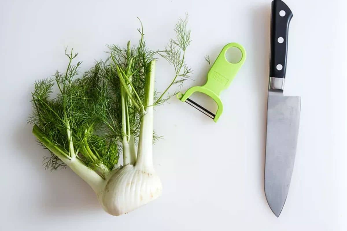 Matériel pour couper du fenouil Matériel pour couper du fenouil