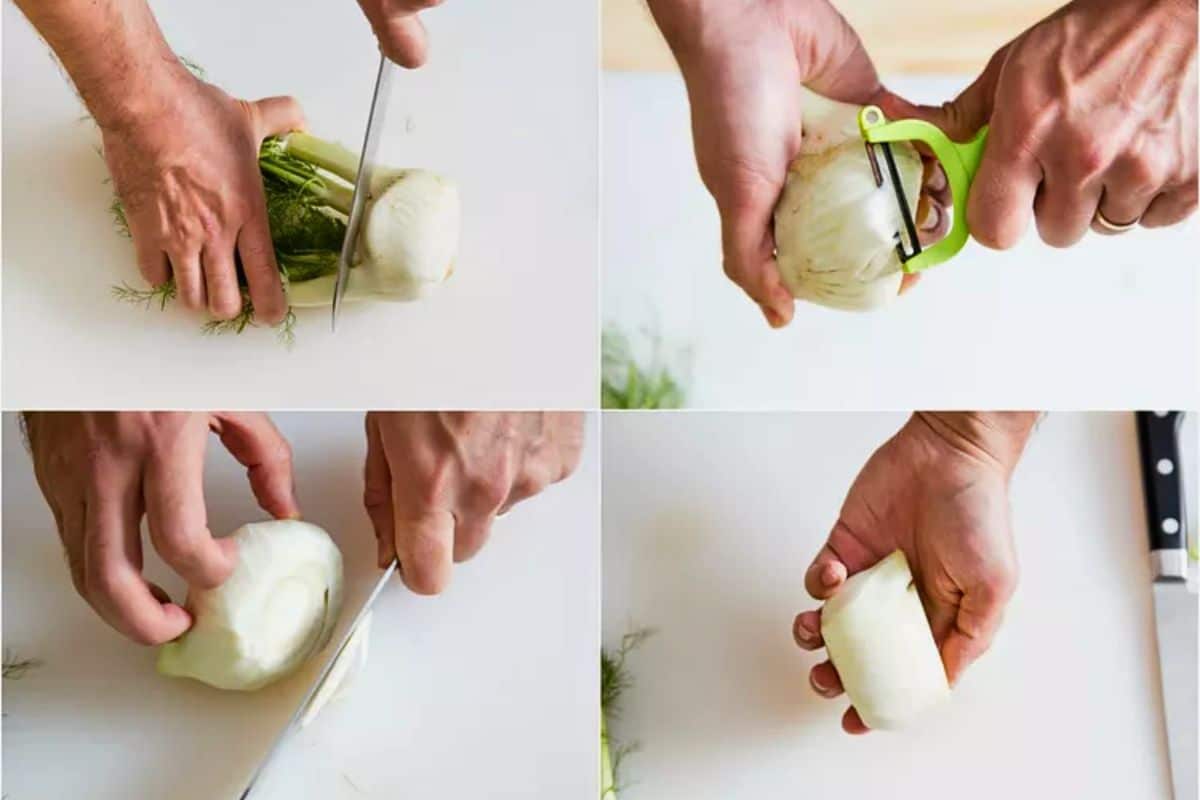 préparation et nettoyage du fenouil préparation et nettoyage du fenouil