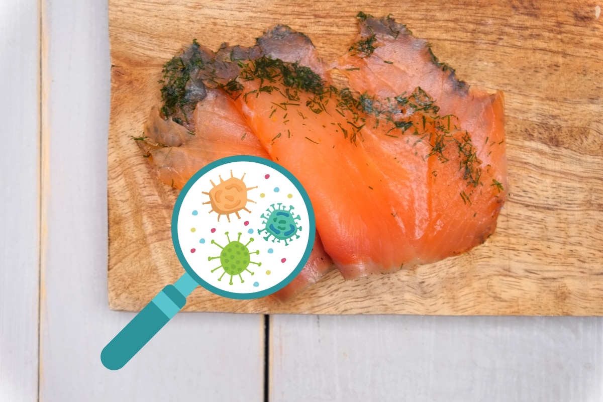 Bactéries saumon gravlax (1) Bactéries saumon gravlax (1)