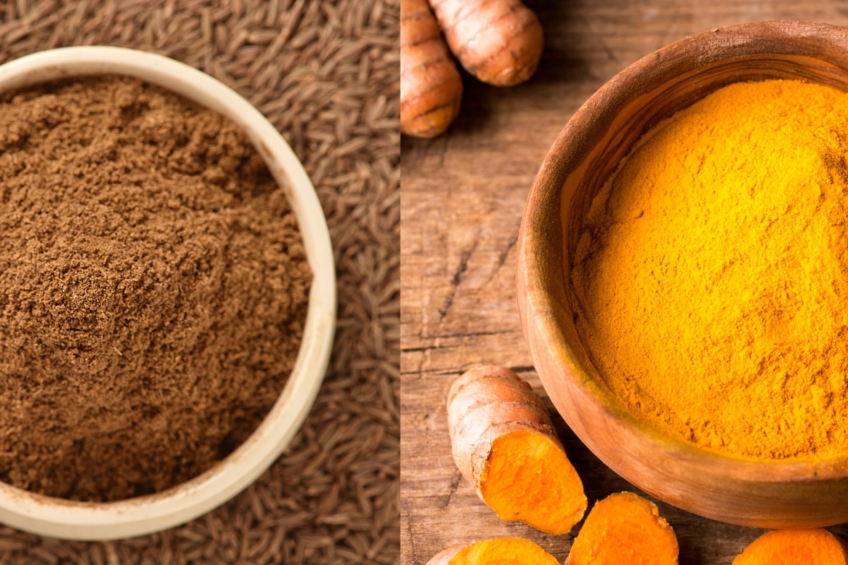 Peut on remplacer le cumin par le curcuma Peut on remplacer le cumin par le curcuma
