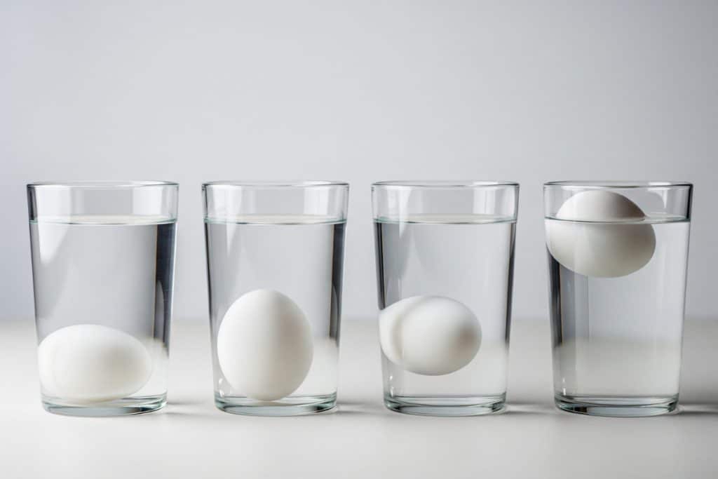 Test fraîcheur œuf flotte eau positions